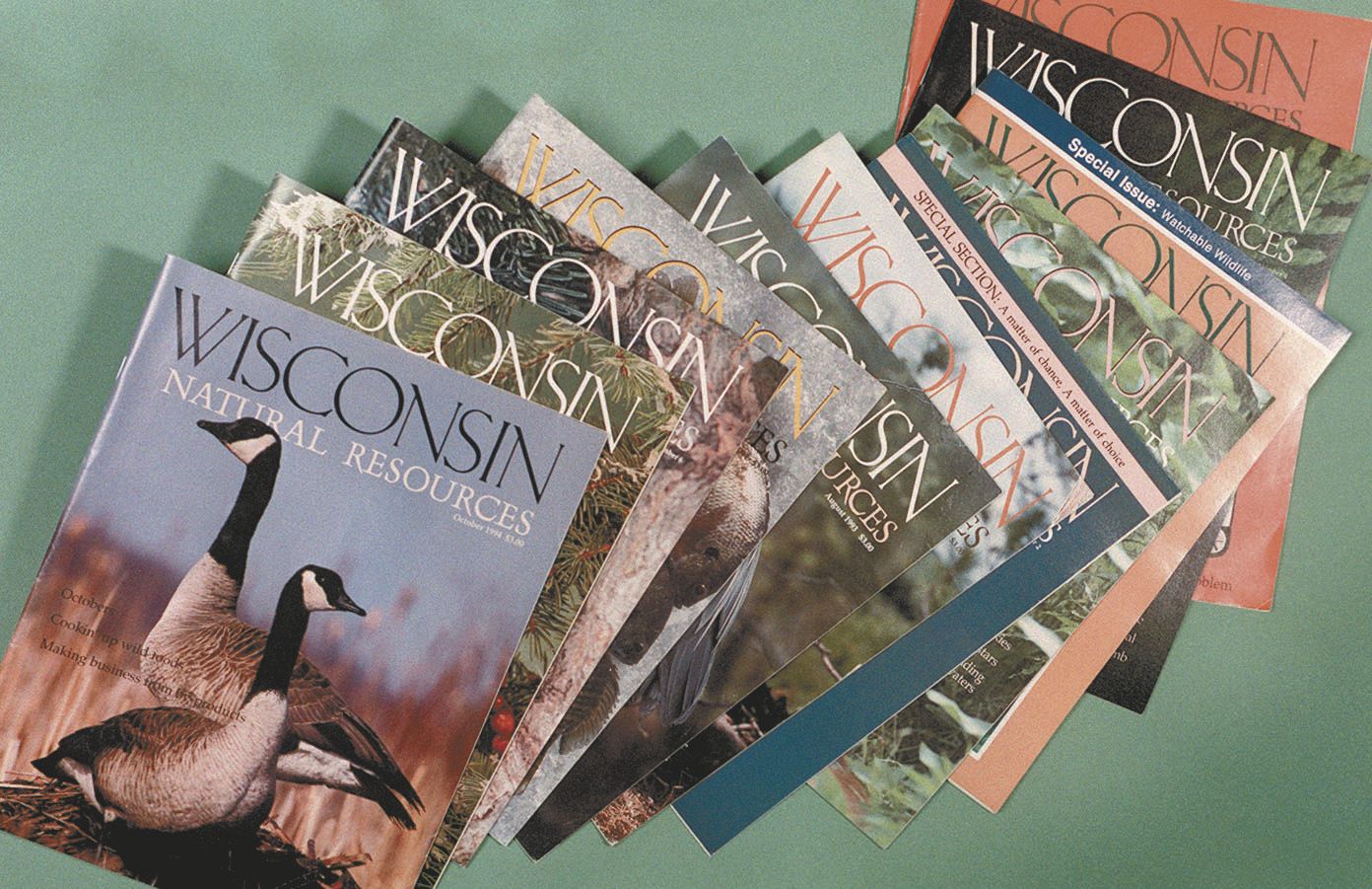 Wisconsin Natural Resources magazine diminished